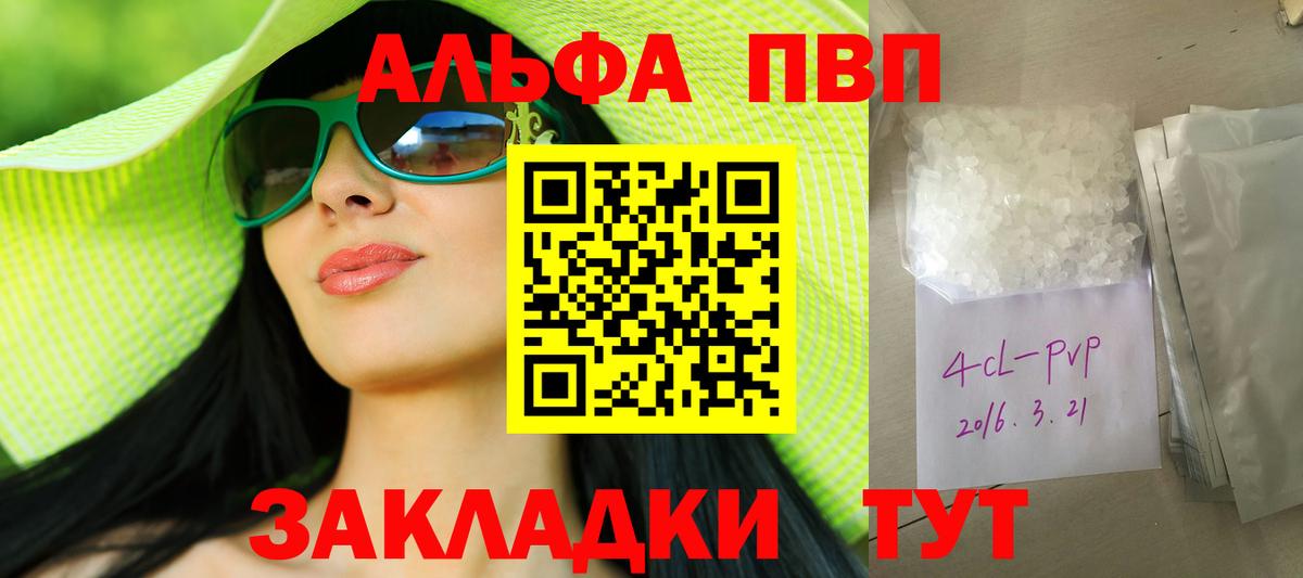 A PVP СК Бийск