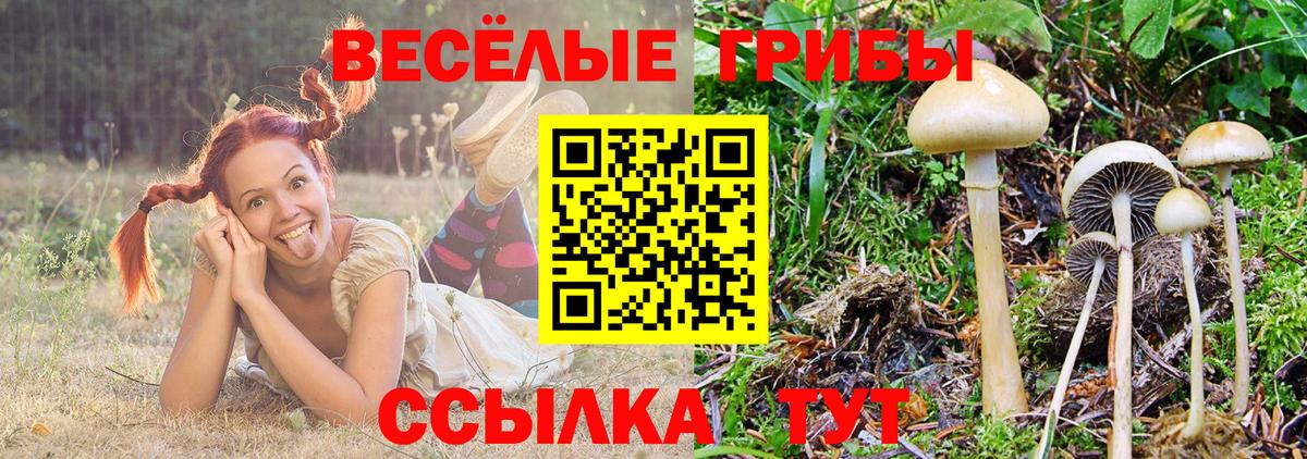 Бийск  продажа наркотиков  Вход с VPN  Галлюциногенные грибы ЛСД 